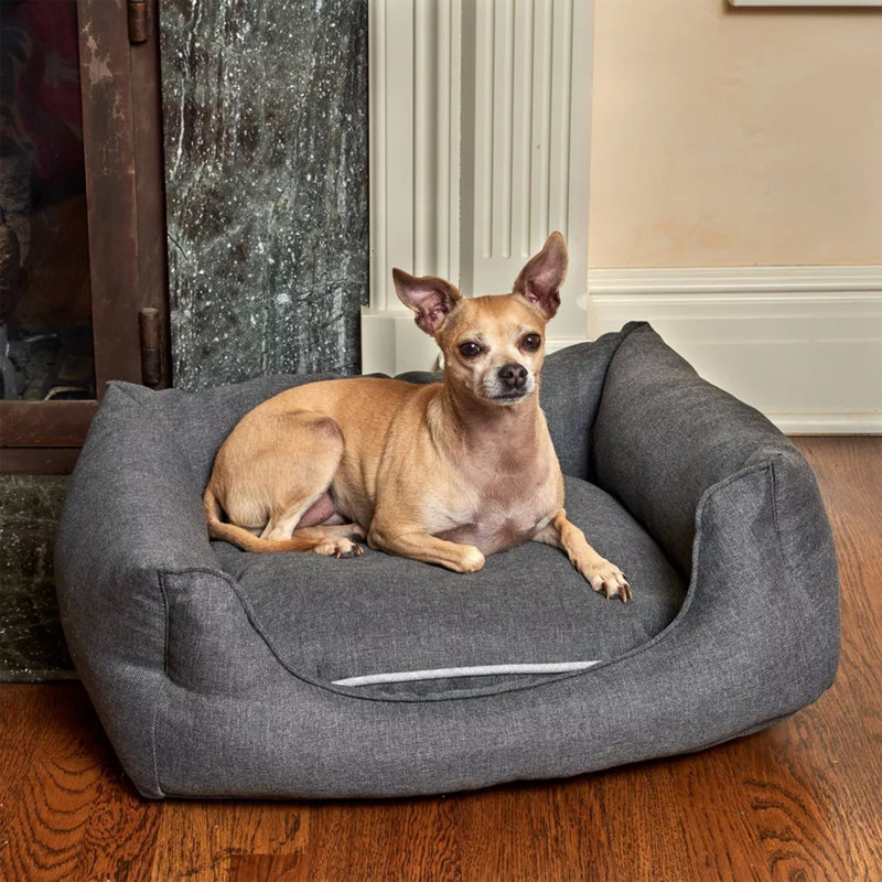 Personalized dog beds for small dogs hotsell